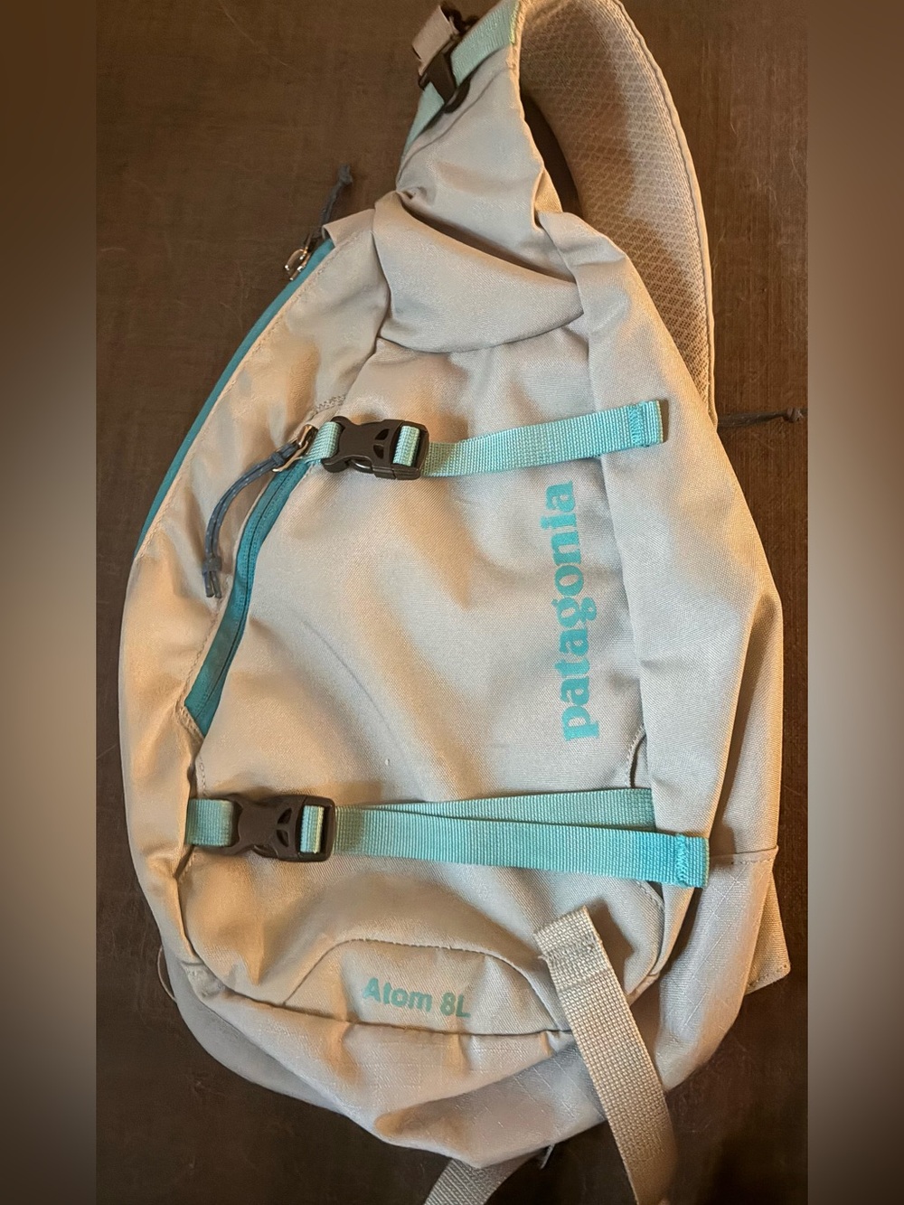 Patagonia Sling Crossbody Gray bag with Teal Straps
